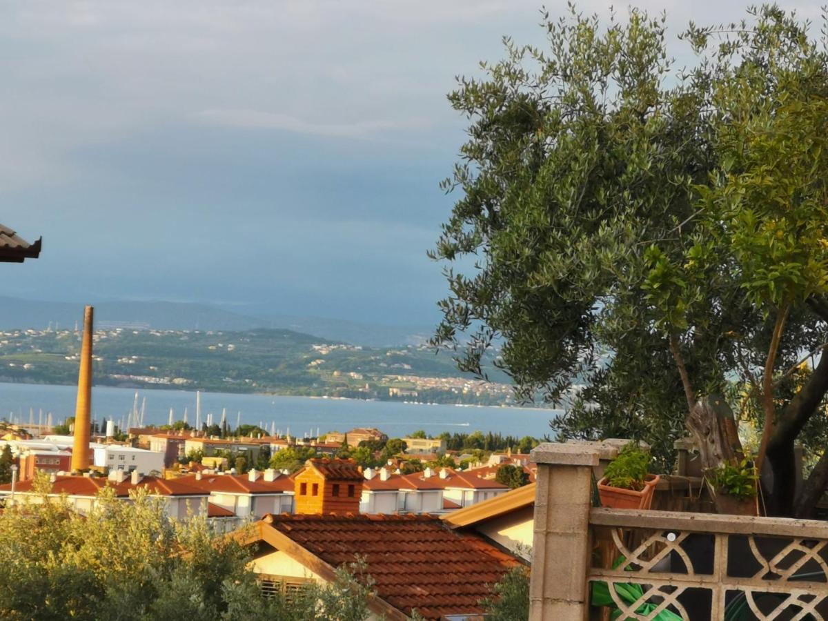 D&d 2 Izola